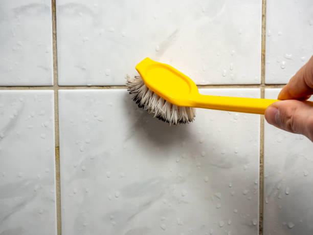 Mold Testing and Removal in Advance, MO