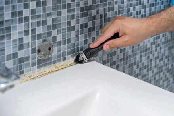 Best Mold Removal Specialists  in Advance, MO