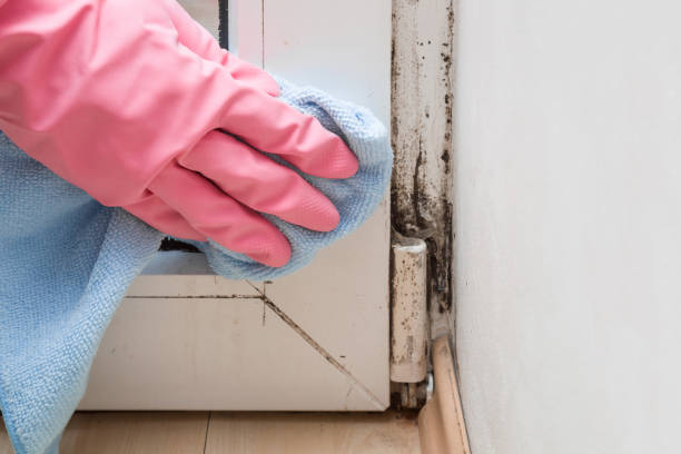 Best Mold Testing  in Advance, MO